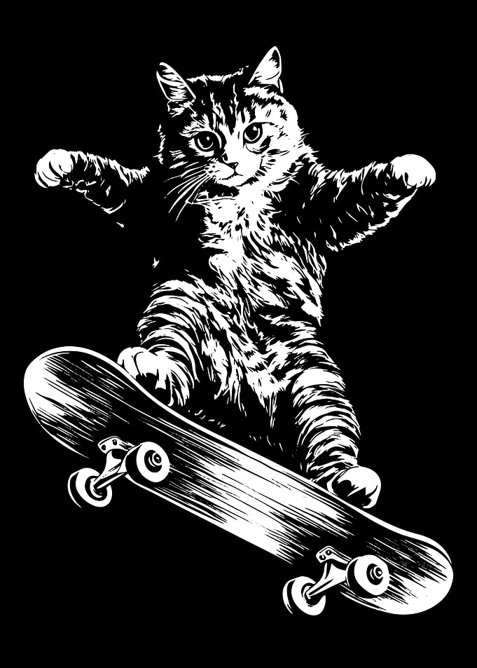 Cat on Skateboard Black and White