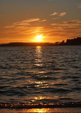 Golden Sunset Over Water