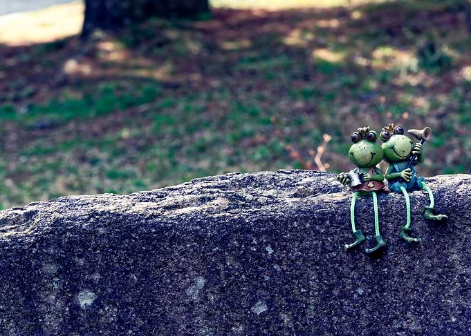 Two Frog Figurines on a Rock