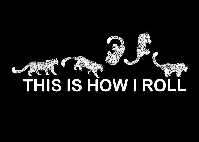 Snow Leopard How I Roll Kids Gift Snow Leopard