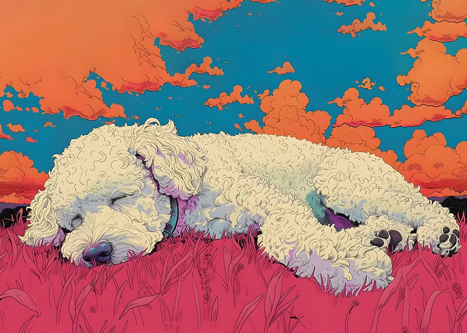 Sleeping Dog in Pink Field