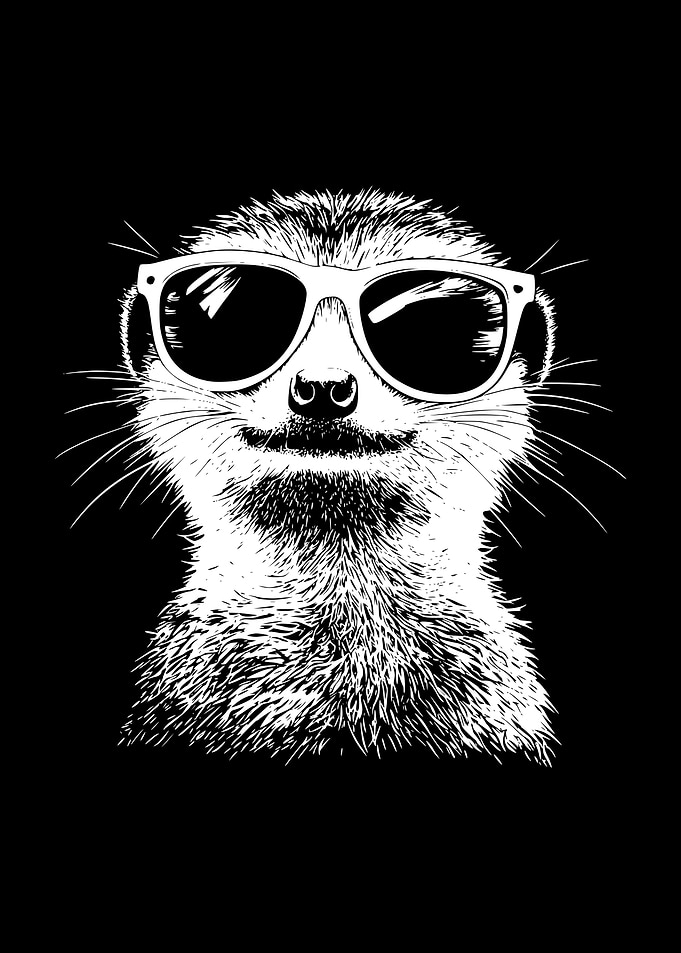 Cool Meerkat with Sunglasses
