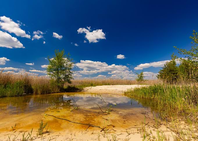 Sunny Day at the Pond, Poland