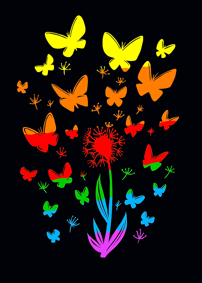 Colorful Butterflies and Dandelion on Black