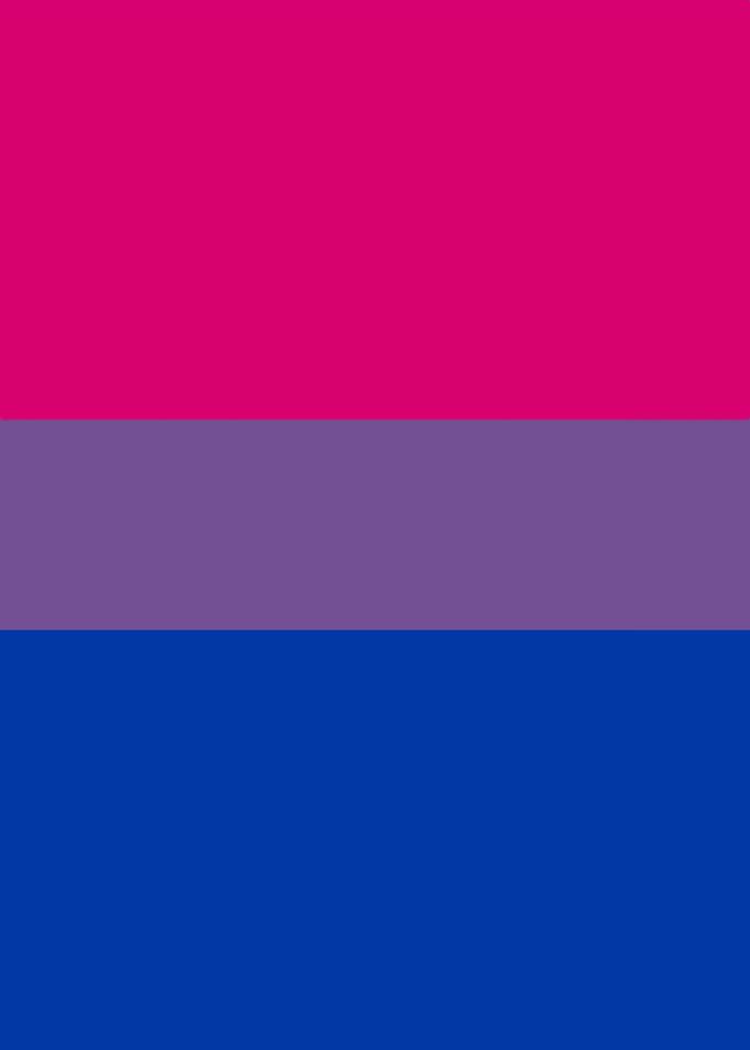 Bisexual Pride Flag