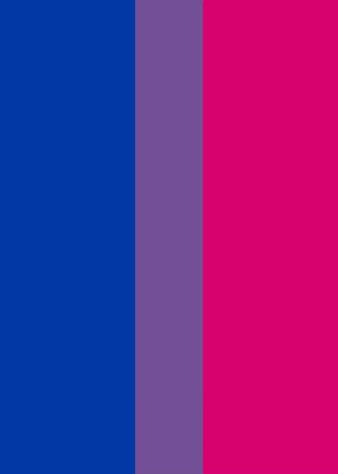 Bisexual Pride Flag
