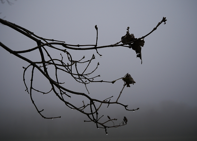 Winter dew