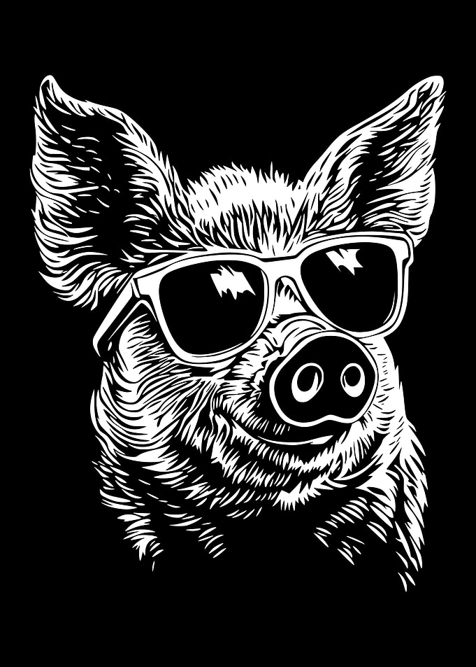 Cool Pig with Sunglasses