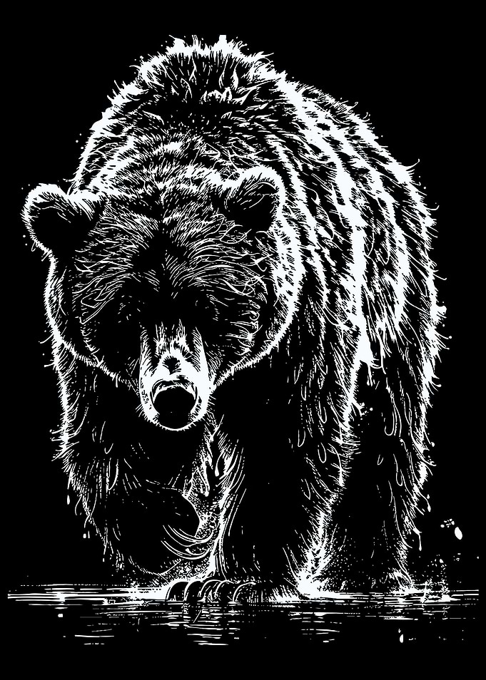 Bear Illustration - Black and White