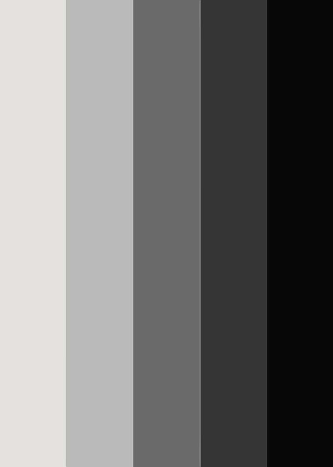 Monochrome Color Palette