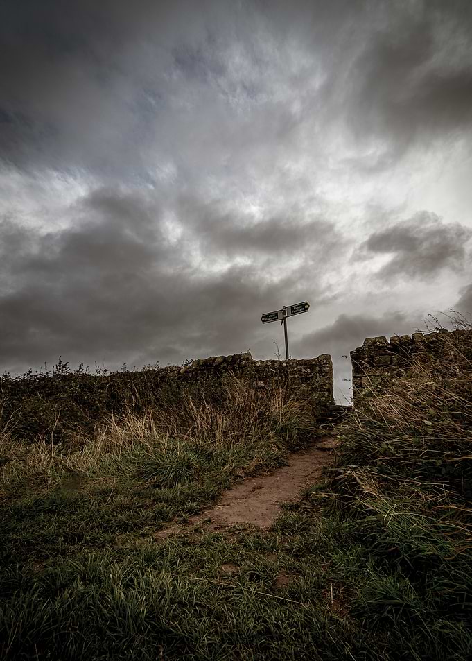 Overcast Path with Signpost