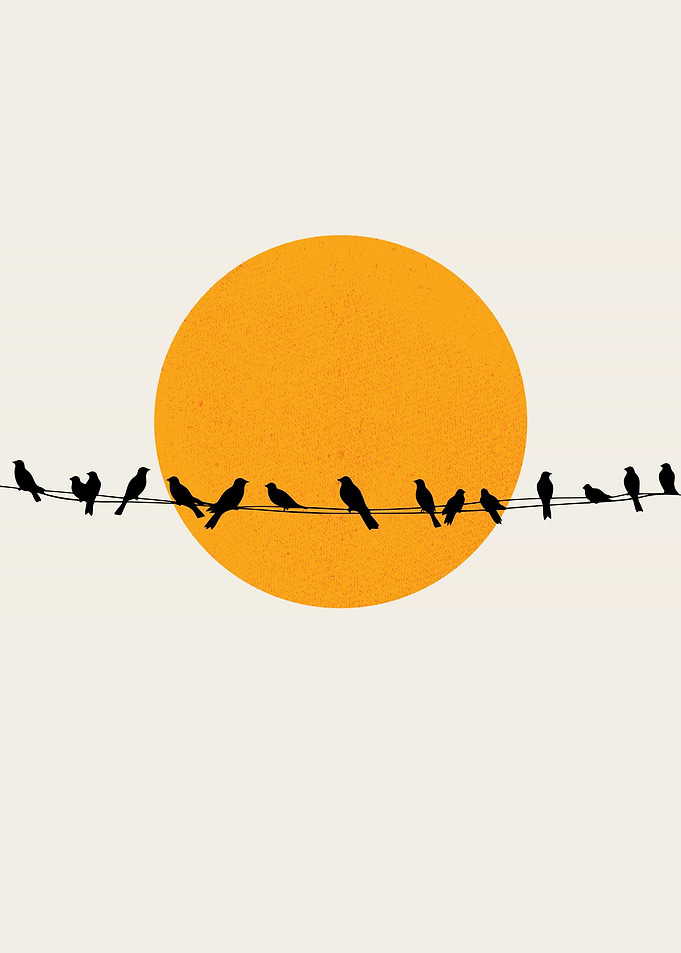 Birds on a Wire Silhouette