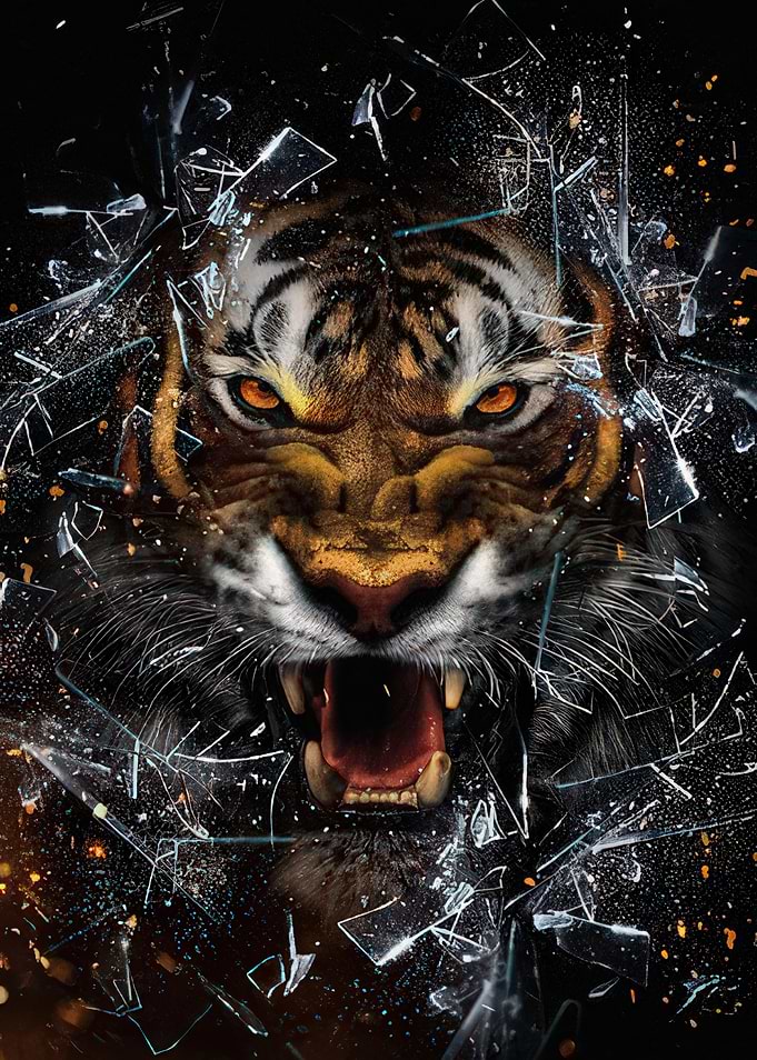Tiger Breaking Through Glass