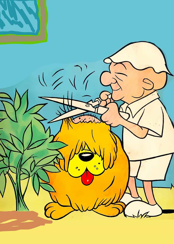 Mister magoo