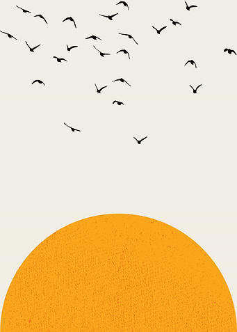 Birds Flying Over the Sun