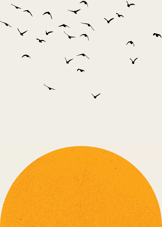 Birds Flying Over the Sun