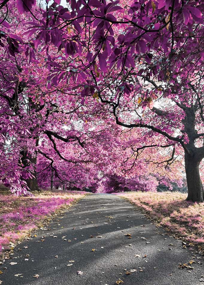 Whispers of Spring