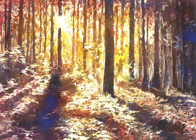 Sunlit Forest Watercolor Painting