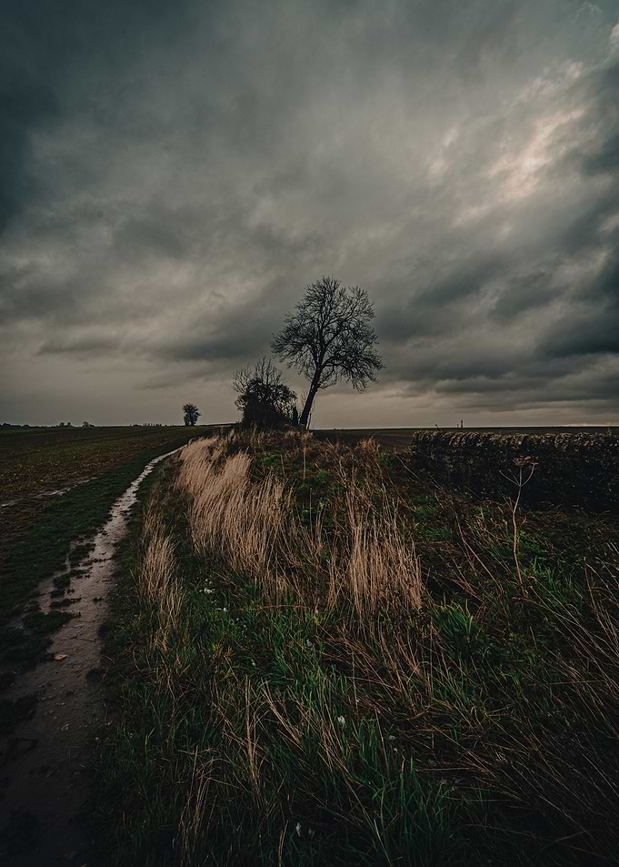 Gloomy Landscape with Bare Trees