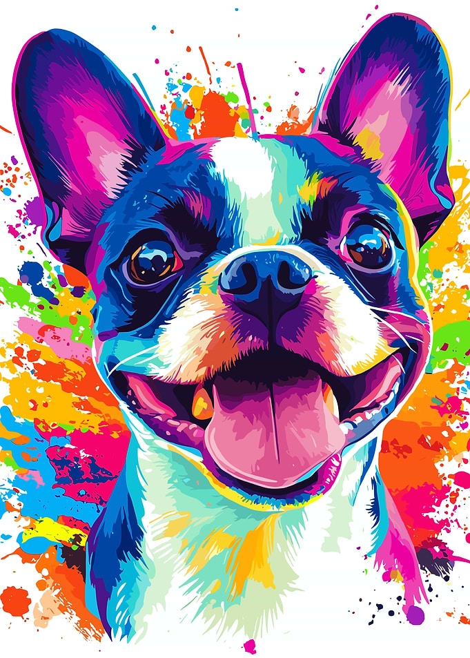 Colorful Boston Terrier Portrait