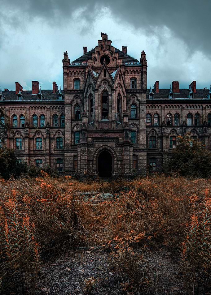 Abandoned Brick Building with Overgrown Vegetation