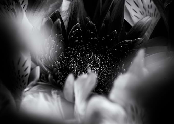 MONOCHROME HEART