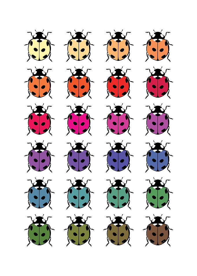 Colorful Ladybugs