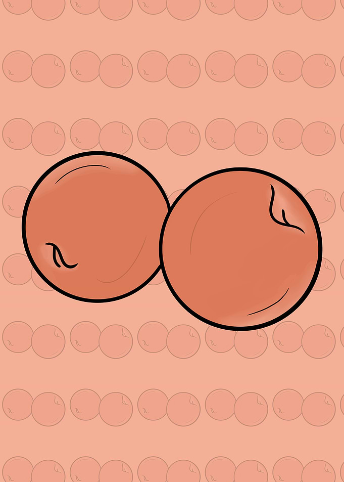 Two Peaches Cartoon