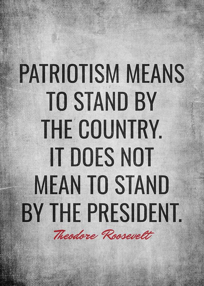 Theodore Roosevelt Quotes