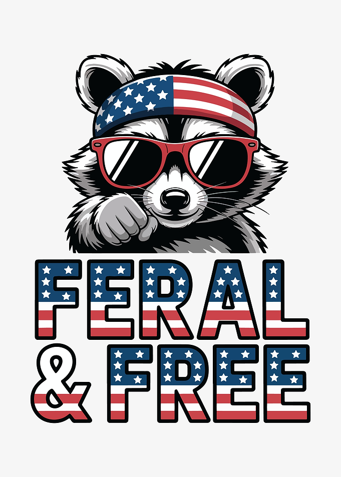 Feral and Free Raccoon