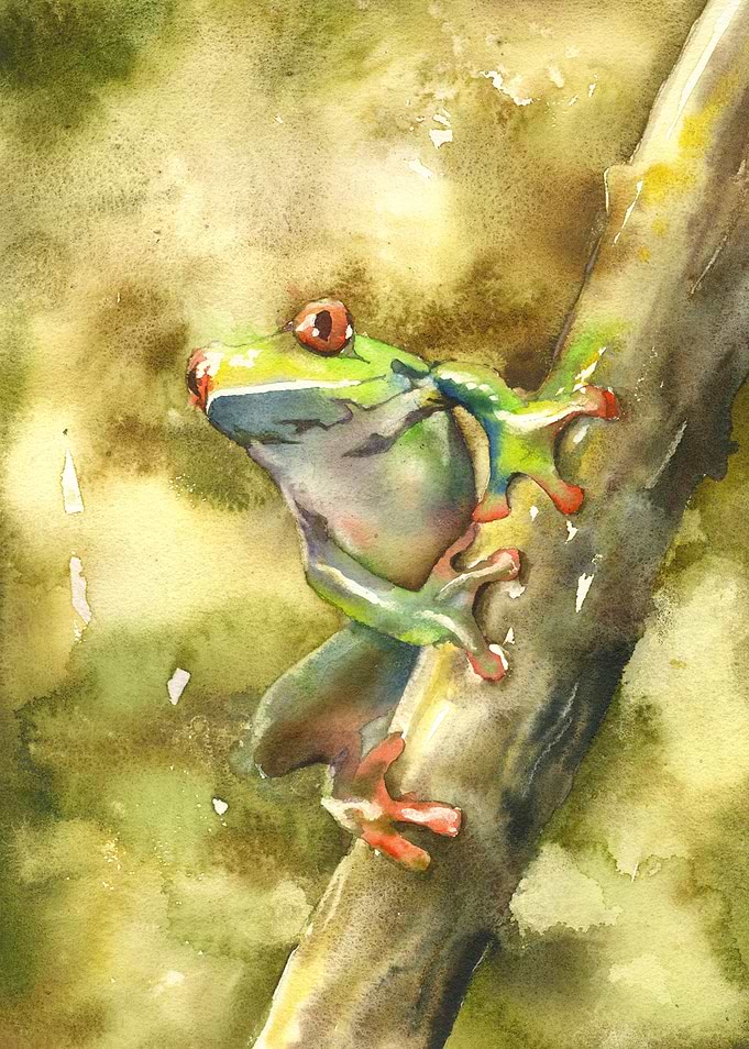 Watercolor Tree Frog on Branch