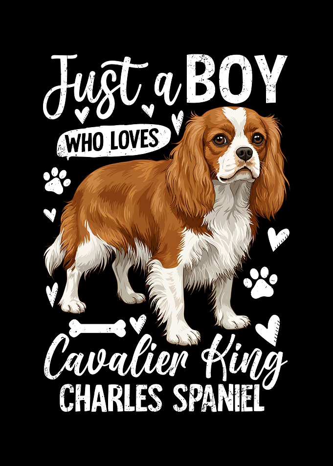 Cavalier King Charles Spaniel Boy Design