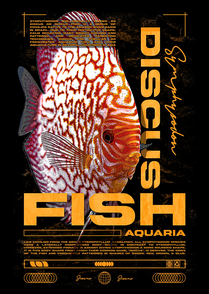 Discus Fish Keeper Fish Room