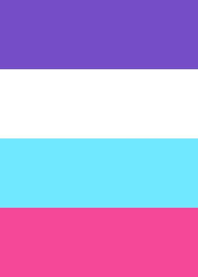 Omnisexual Pride Flag