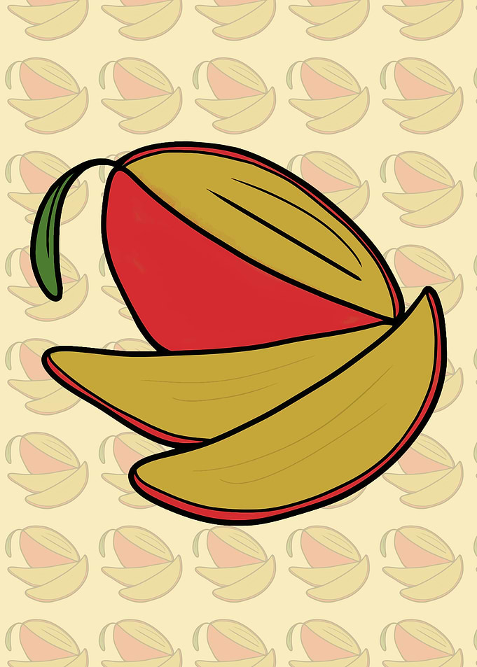 Stylized Mango Fruit Illustration