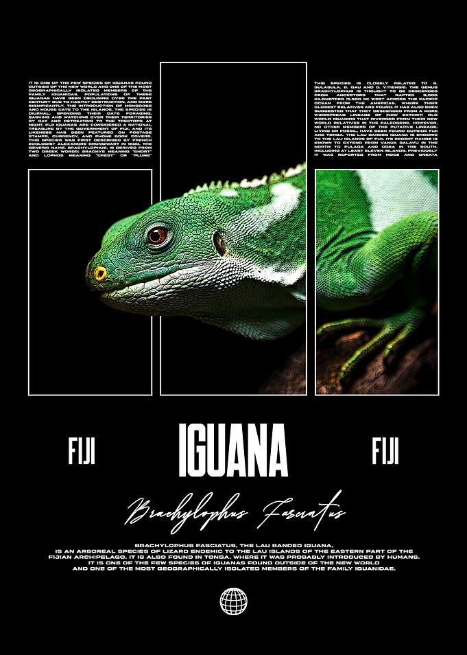 Fiji Iguana Brachylophus Fasciatus Poster