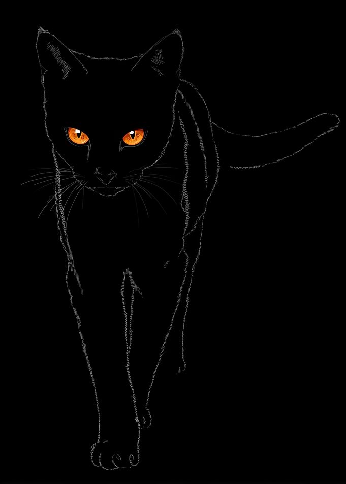 Black Cat with Orange Eyes