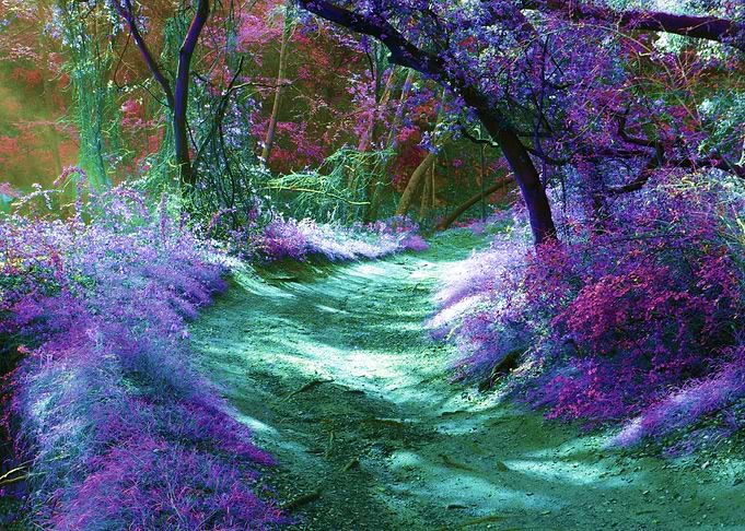 Magical Bend