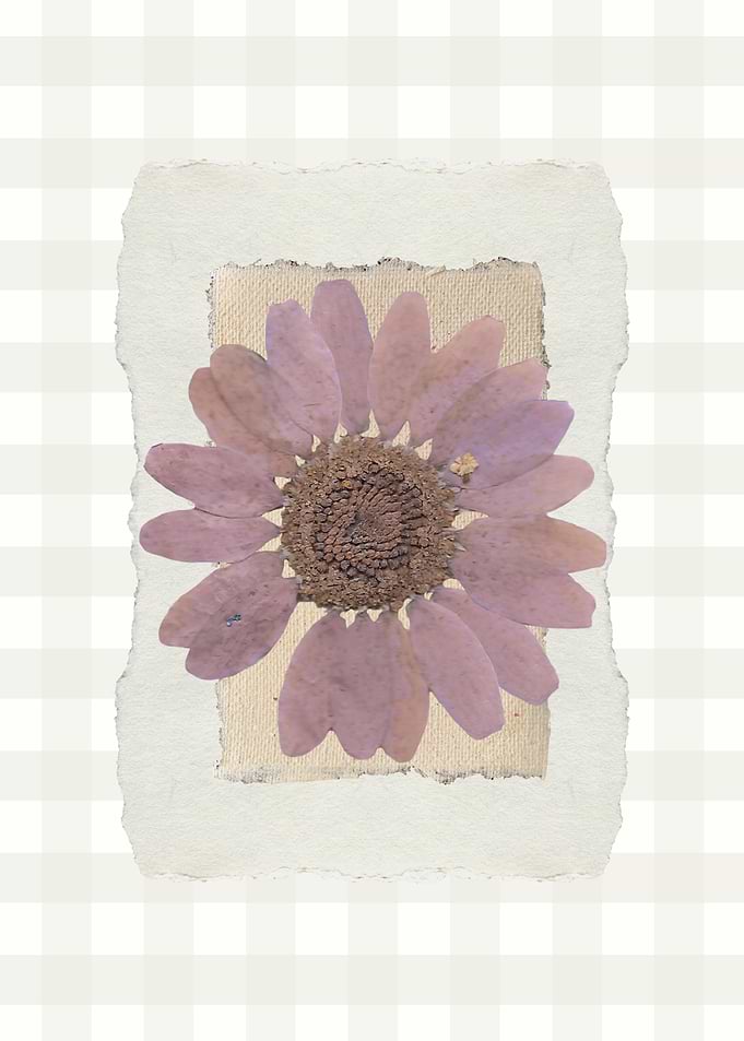 Pressed Purple Flower Art