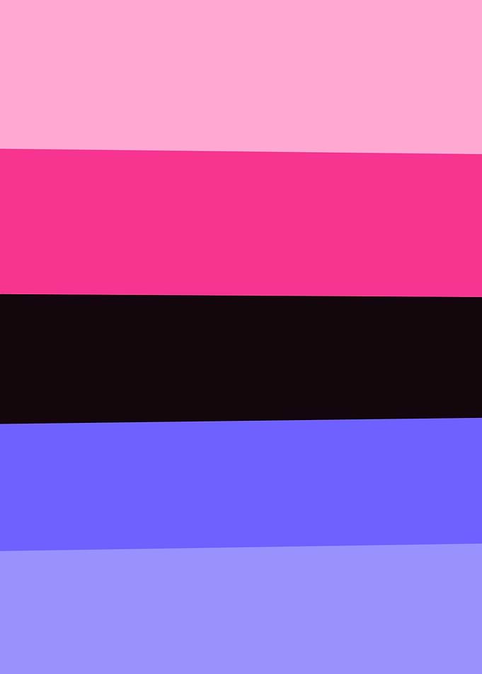 Omnisexual Pride Flag