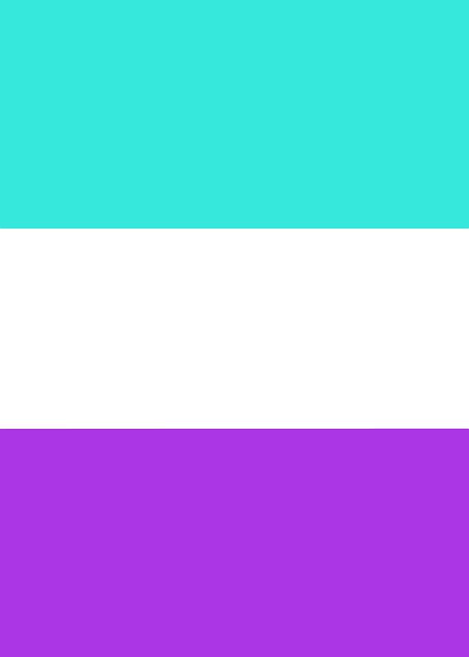 Aromantic Pride Flag