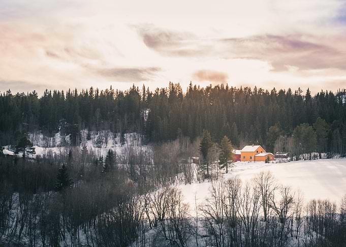 Winter Solitude