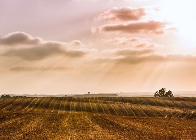 Horizon Haze