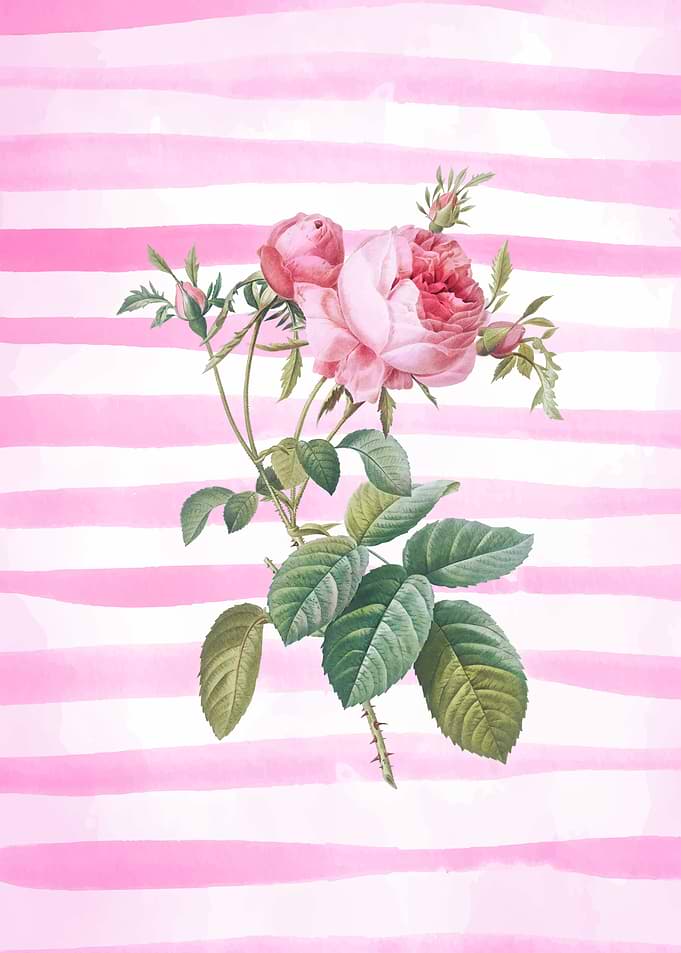 Pink Striped Floral Art
