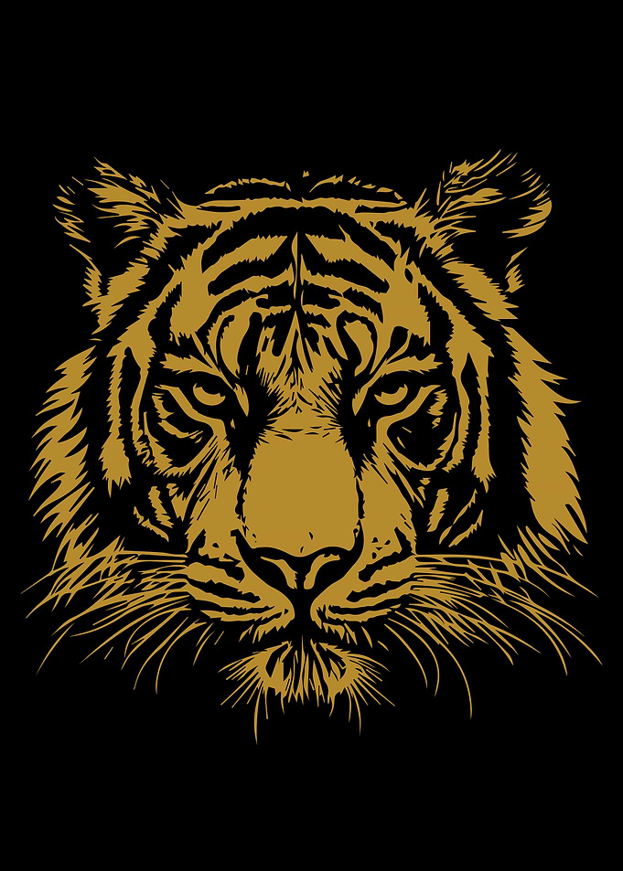 Tiger head illustration on black background