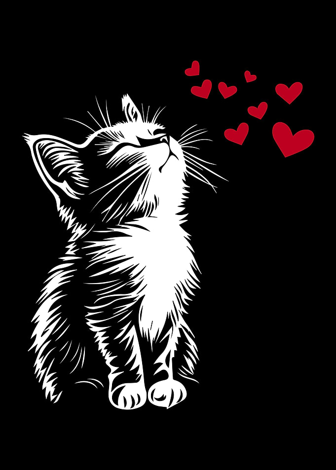Cat with Hearts