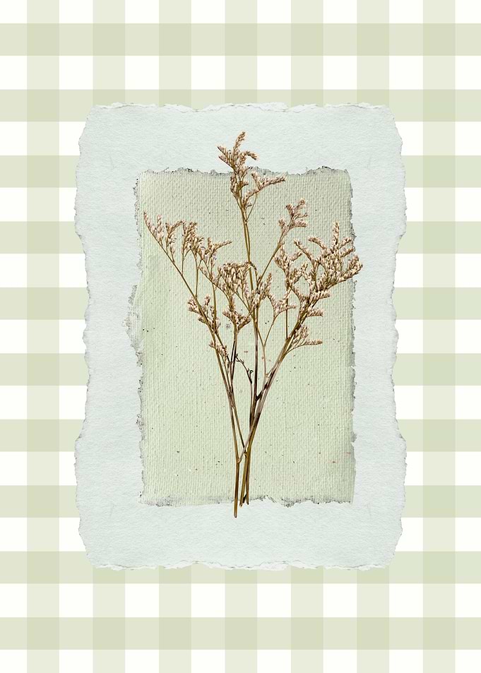 Dried Flower Art on Textured Paper