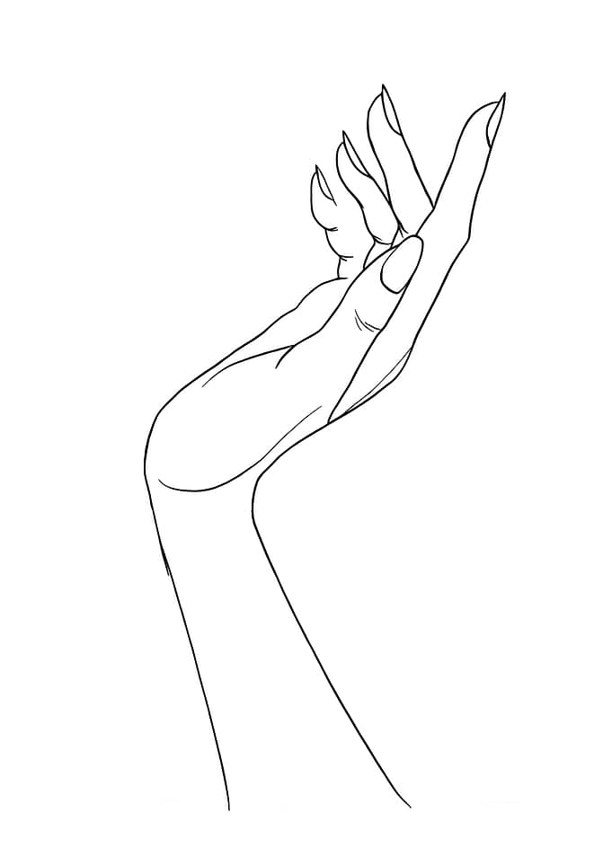Elegant Hand Minimalist Line Art