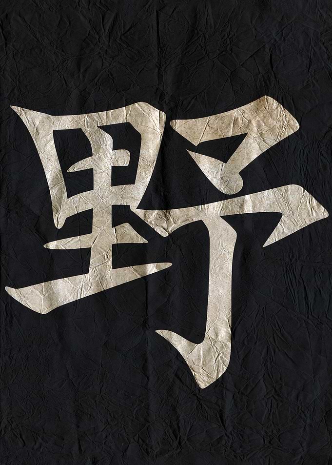 Wild , Japanese Calligraphy on Black Fabric