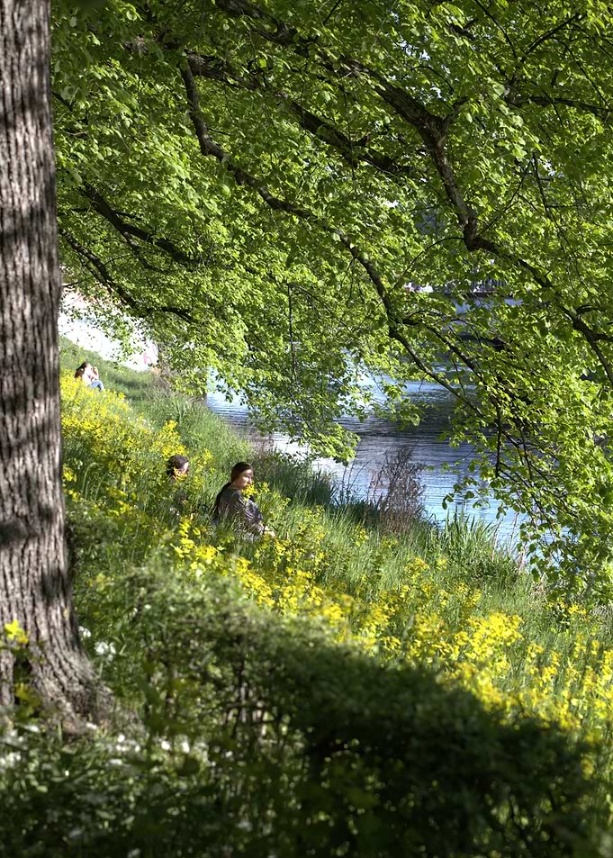 Peaceful riverside scene with people
